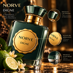 NORVE DIGNE Eau de Parfum | 100ML